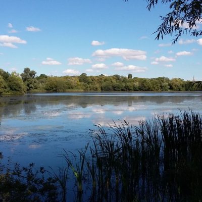 Nature Recovery Network Map